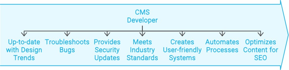 CMS Developer