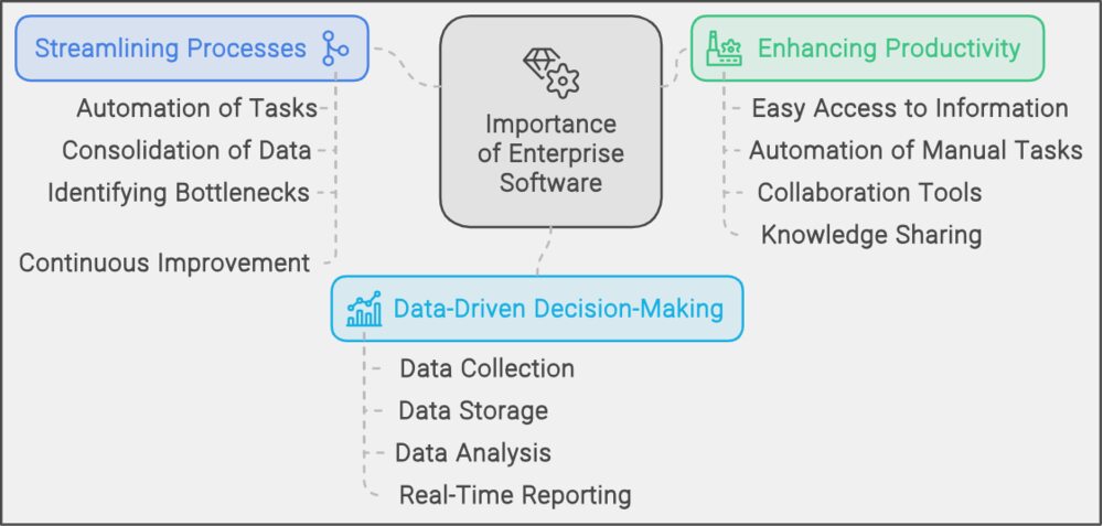 Importance of Enterprise Software